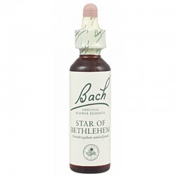 FLOR BACH star of bethlehem 20 ml Nº29